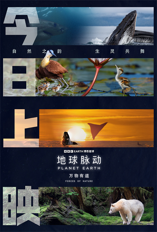 《地球脉动:万物有道》预告发布:同行万物,回归自然本真-1 《地球脉动:万物有道》预告发布:同行万物,回归自然本真-1