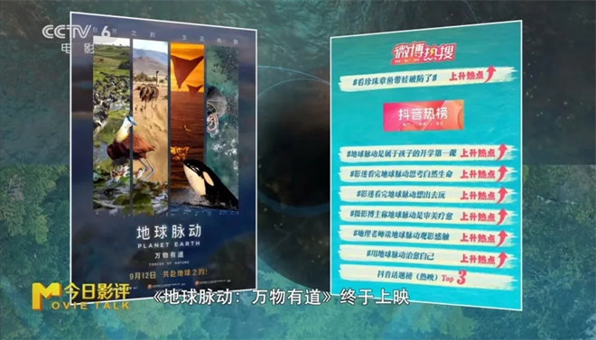 《地球脉动:万物有道》:探秘地球之美-1 《地球脉动:万物有道》:探秘地球之美-1