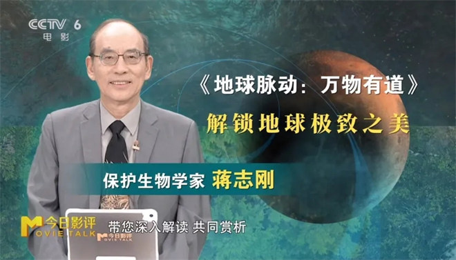 《地球脉动:万物有道》:探秘地球之美-2 《地球脉动:万物有道》:探秘地球之美-2