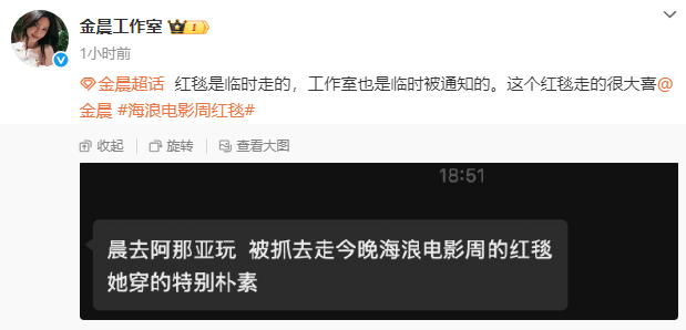 金晨红毯简约风：阿那亚突遇抓包-2