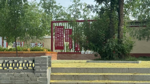 《一棵枣树》:吕文铮导演倾情打造山东聊城乡村振兴电影-1 《一棵枣树》:吕文铮导演倾情打造山东聊城乡村振兴电影-1