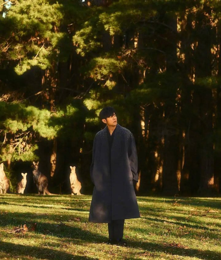 周杰伦：甘于平凡，演唱会或减-1