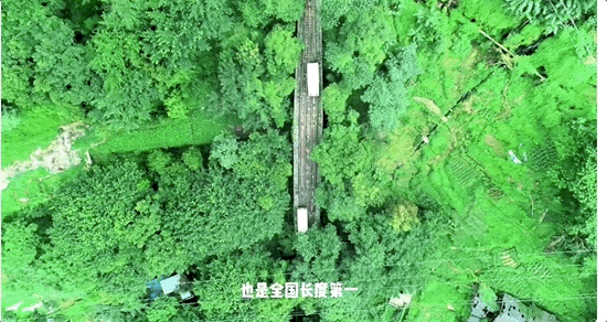 国庆档电影之旅:2025年流量之最-3 国庆档电影之旅:2025年流量之最-3