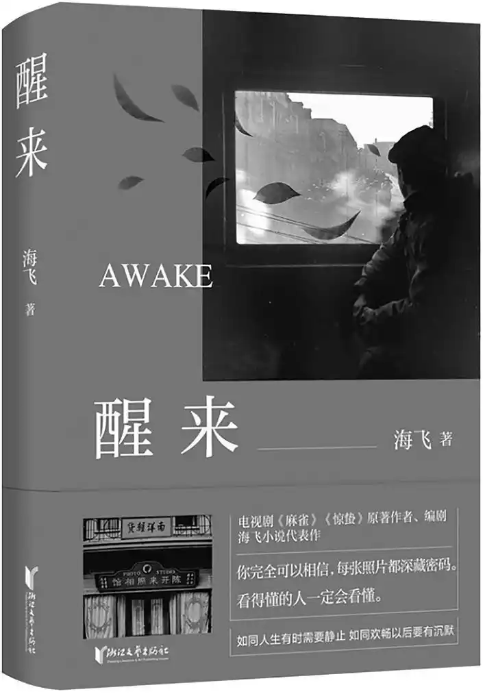 让赵宝刚彻夜难释手的《醒来》,究竟铺陈着一段怎样的命运浮沉录?