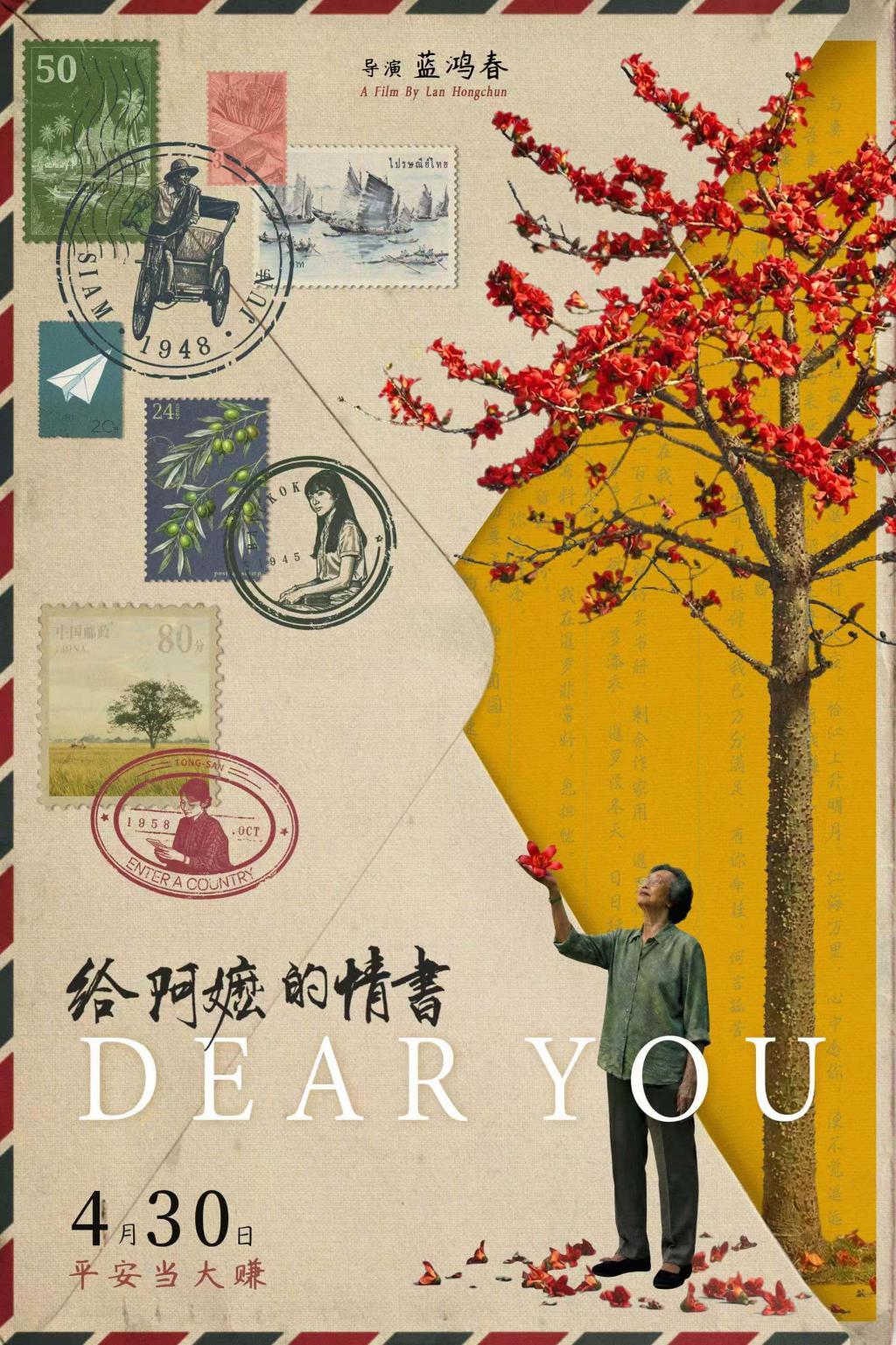光影里的岁月长歌：解码《给阿嬷的情书》背后的家族记忆