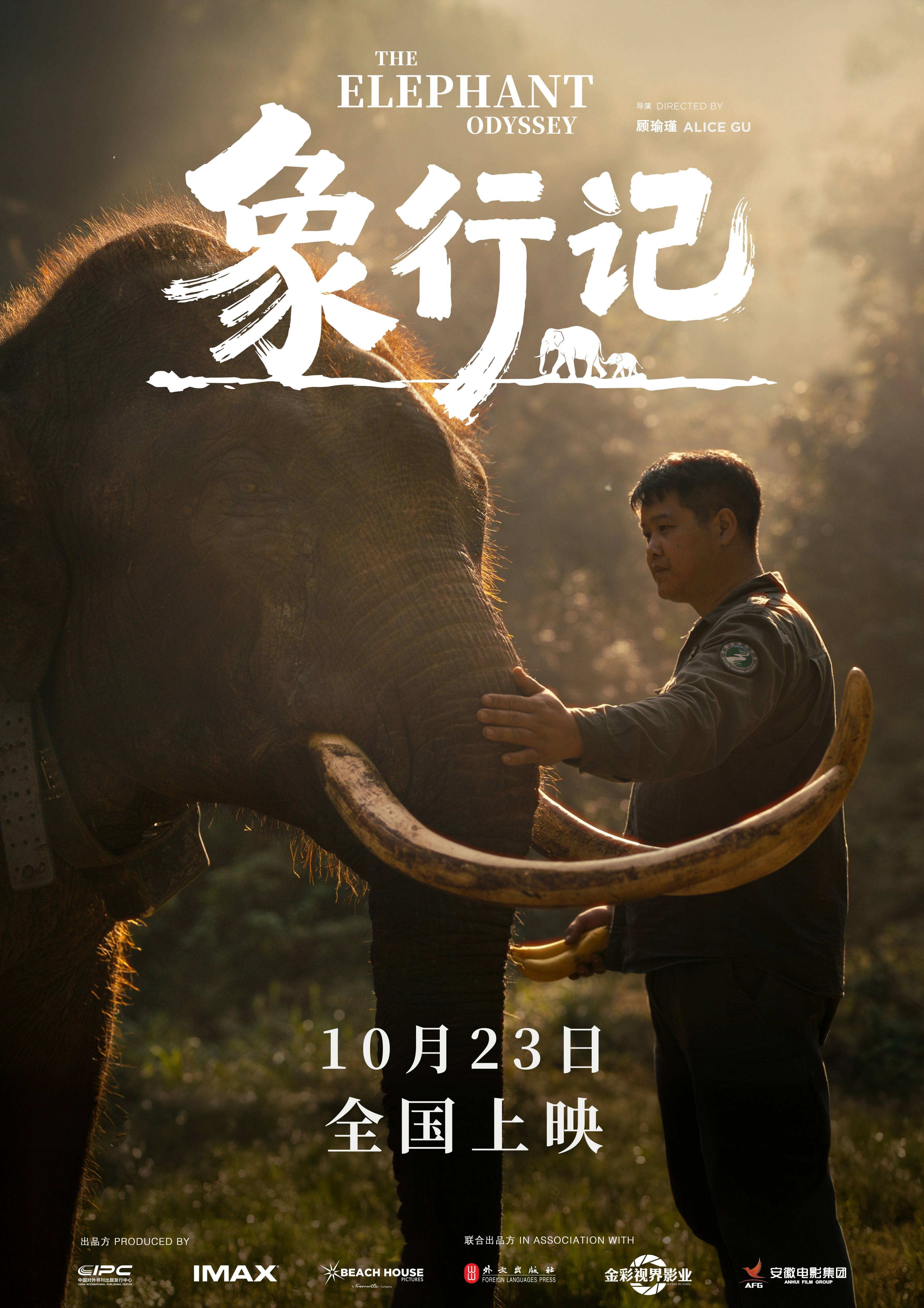 探秘中国野象迁徙足迹，IMAX沉浸式纪实巨作《象行记》十月二十三日正式上映