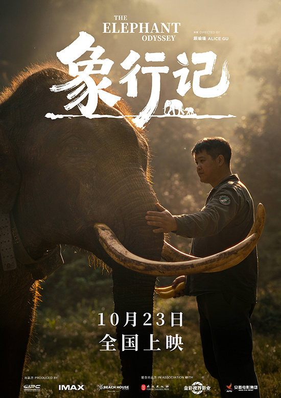 《象行记》10月23日震撼上映,纪实影像全景记录中国野象迁徙之旅