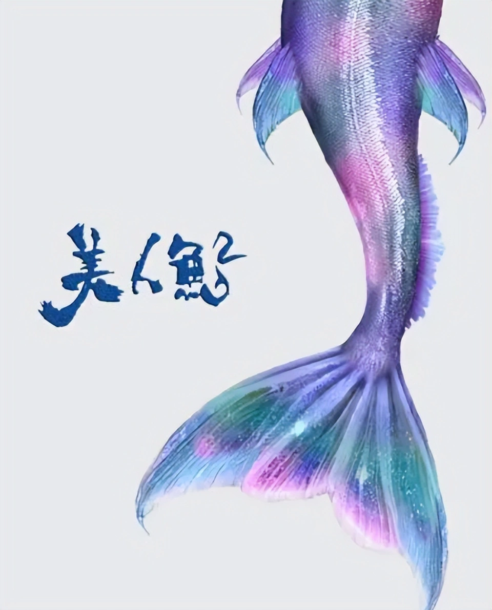 《功夫女足》夺冠沈腾再蓄力 明年三度交锋周星驰