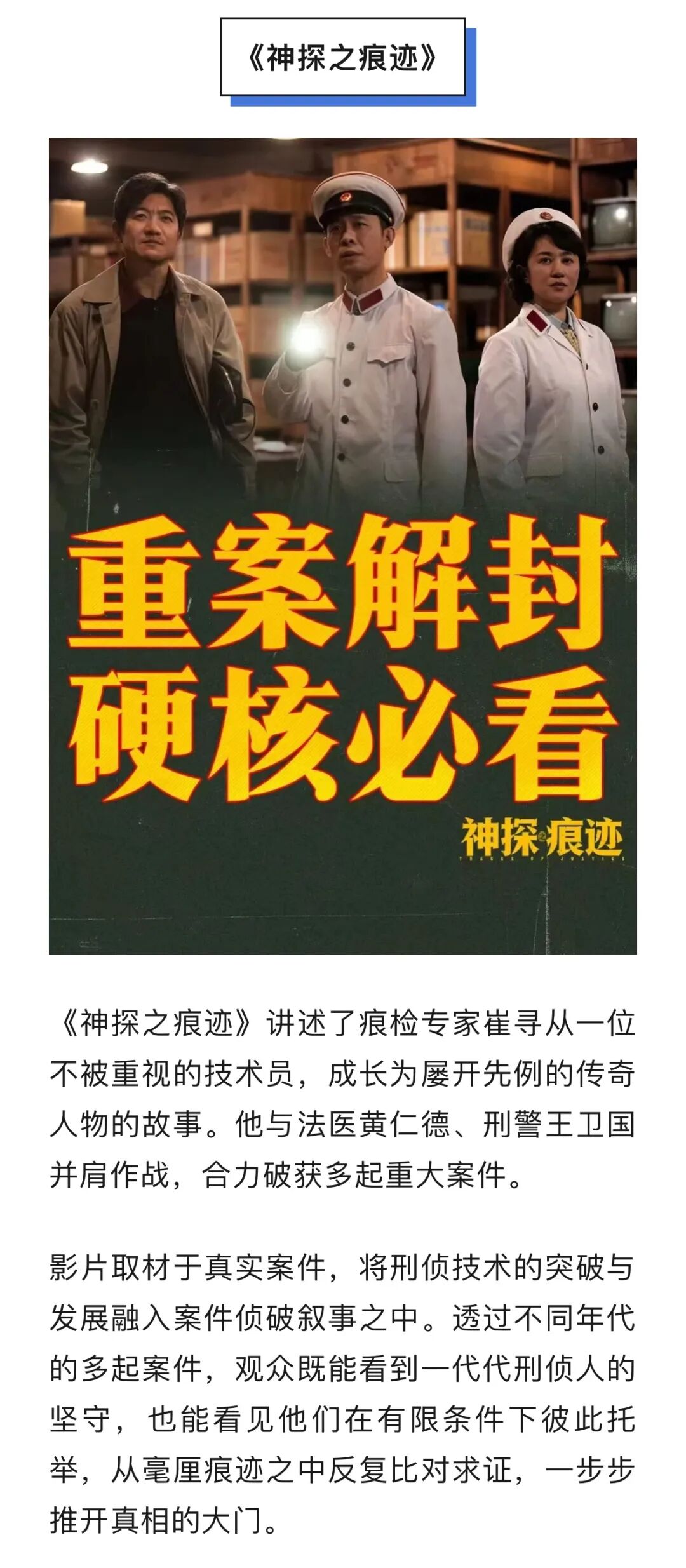《神探之痕迹》《什么意思夫妇》《小猪佩奇·完美假期》交锋