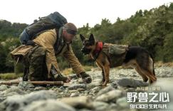 《野兽之心》百度云[1080p高清电影中字]百度网盘下载