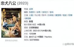 电影《忠犬八公》百度云盘迅雷下载资源「BD720P/3.6G-MP4中国版」无剪切版