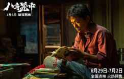 《八角笼中》：王宝强精彩新作，720p/1080p/4K高清下载观看