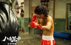 《八角笼中》百度云盘高清资源迅雷下载「HD1080P/3.4G-MKV」