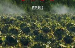 《志愿军：雄兵出击》【HD1280P/3.3G-MKV】国语中字阿里云盘蓝光版资源已更新