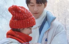 《一闪一闪亮星星》票房5亿遥遥领先，2024元旦档总票房突破11亿元