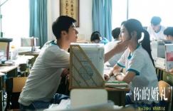 《你的婚礼》百度云【BD1080P/3.8G-MKV】资源下载全集高清版原声版