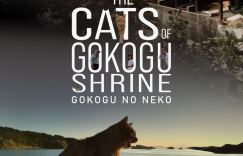 想田和弘执导的电影《五香宫的猫》荣获柏林电影节提名