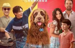 今日影评 | 为何《家有儿女》海外翻拍“水土不服”？