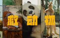 《动物园里有什么？》国语版阿里网盘下载链接抢先版【HD1280P/3.4G-MP4】