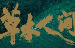 《草木人间》「HD1080P/3.4G-MKV」正版高清百度云盘在线看国语中字