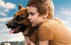 《忠犬帕尔玛》：一个感动数百万人的狗狗的故事