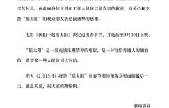 《我们一起摇太阳》国语中字百度云「HD720P/3.2G-MKV」迅雷BT种子完整/加长版