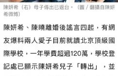 台媒：陈妍希助子转学，母子有望定居台湾