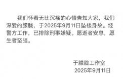于朦胧意外坠楼离世，杨幂、迪丽热巴等明星哀悼