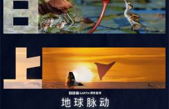 《地球脉动：万物有道》预告发布：同行万物，回归自然本真