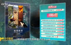 《地球脉动：万物有道》：探秘地球之美