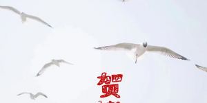 水韵长流润万物：河清海晏的时代新篇