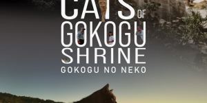 想田和弘执导的电影《五香宫的猫》荣获柏林电影节提名