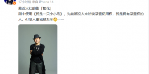 赵传批评《繁花》存在侵权问题 未就《我是一只小小鸟》录音使用权进行协商