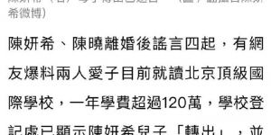 台媒：陈妍希助子转学，母子有望定居台湾