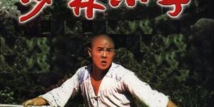 《少林小子》：武林中的幽默寓言
