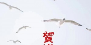 水韵长流，万物共生：《我们的水》中的天时与人和