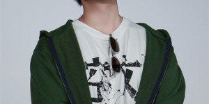 <?php the_title(); ?>