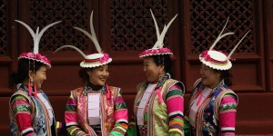 <?php the_title(); ?>