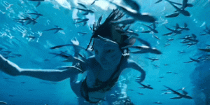 <?php the_title(); ?>