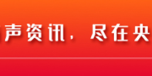 <?php the_title(); ? loading=