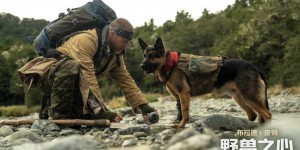 《野兽之心》百度云[1080p高清电影中字]百度网盘下载