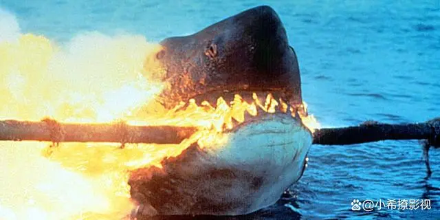 《巨齿鲨2》视频点播：电影观影新趋势引发深思